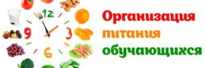 организация питания