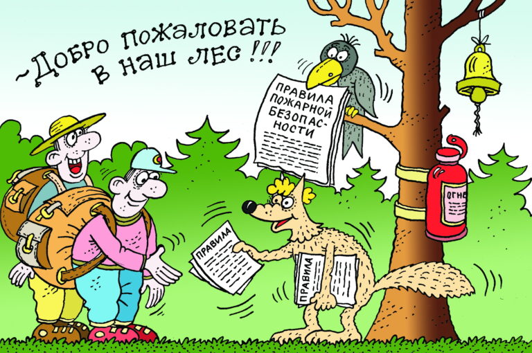 Правила безопасности в лесу!