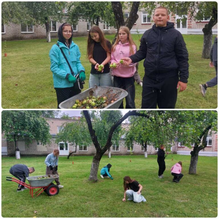 Работа в яблоневом саду